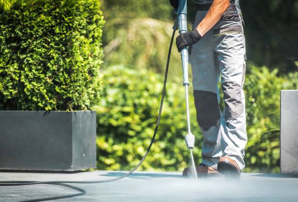 Best Driveway Pressure Washing  in Sierra View, PA